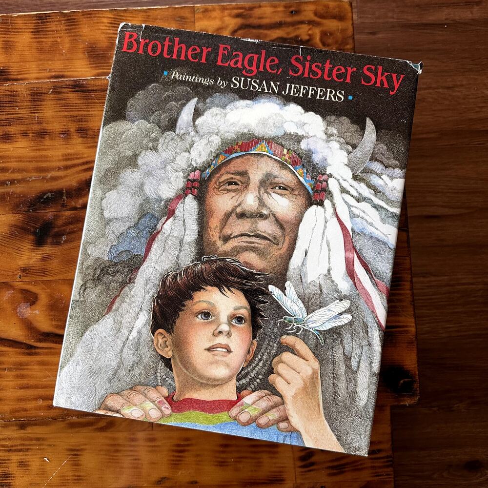 Vintage 1991 Brother Eagle, Sister Sky A Message From Chief Seattle Book
